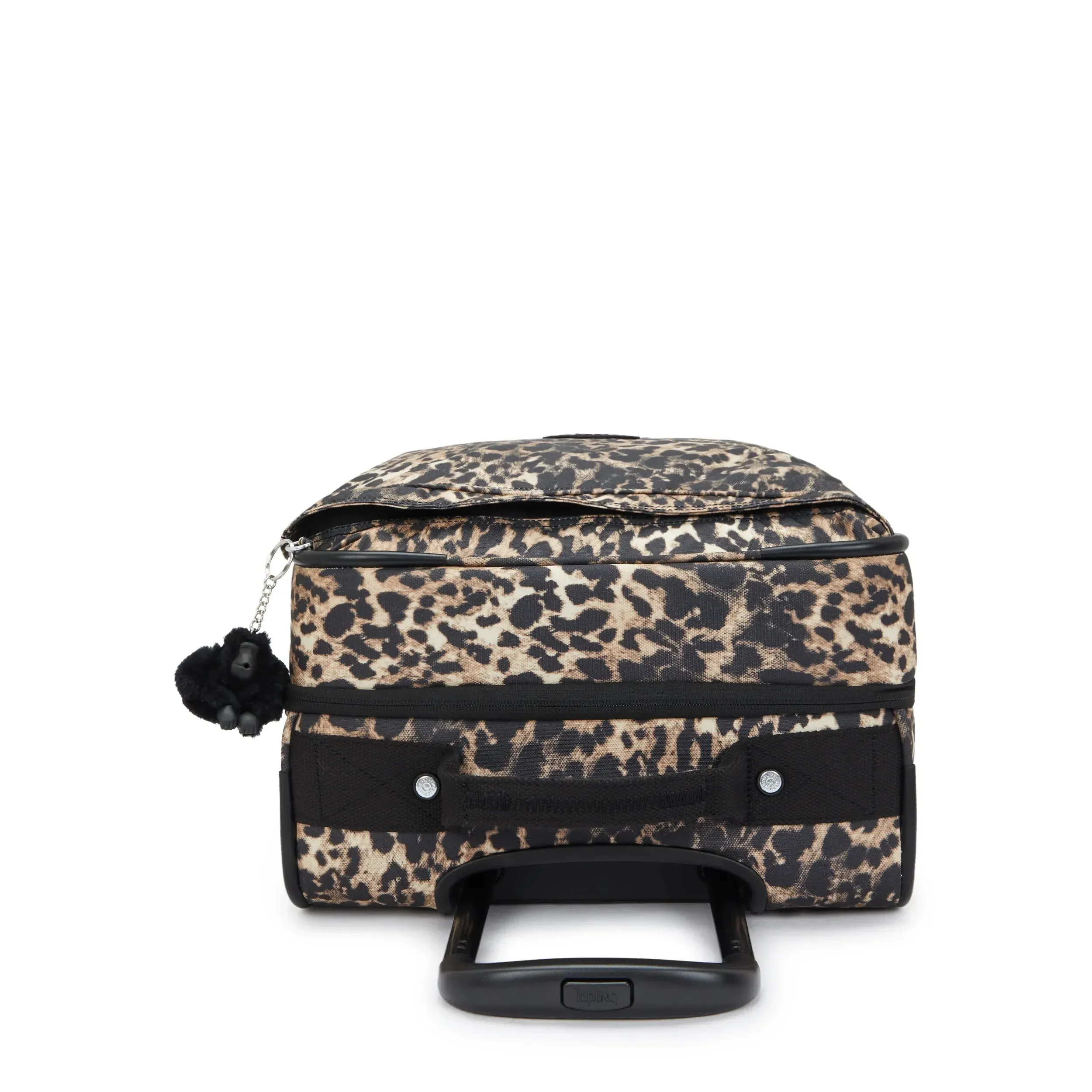 Spontaneous Small Printed Rolling Luggage