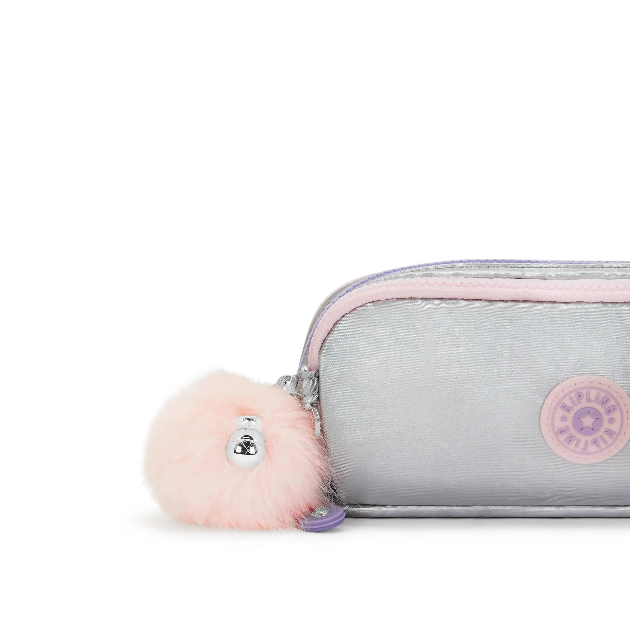Gitroy Metallic Pencil Case
